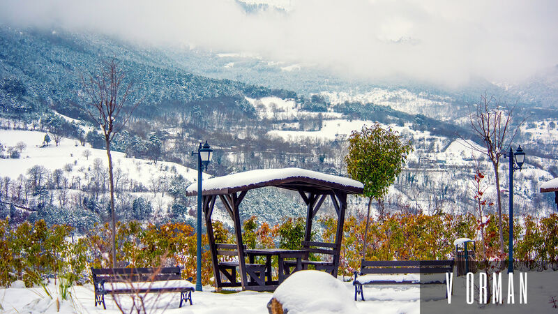 V Orman Resort
